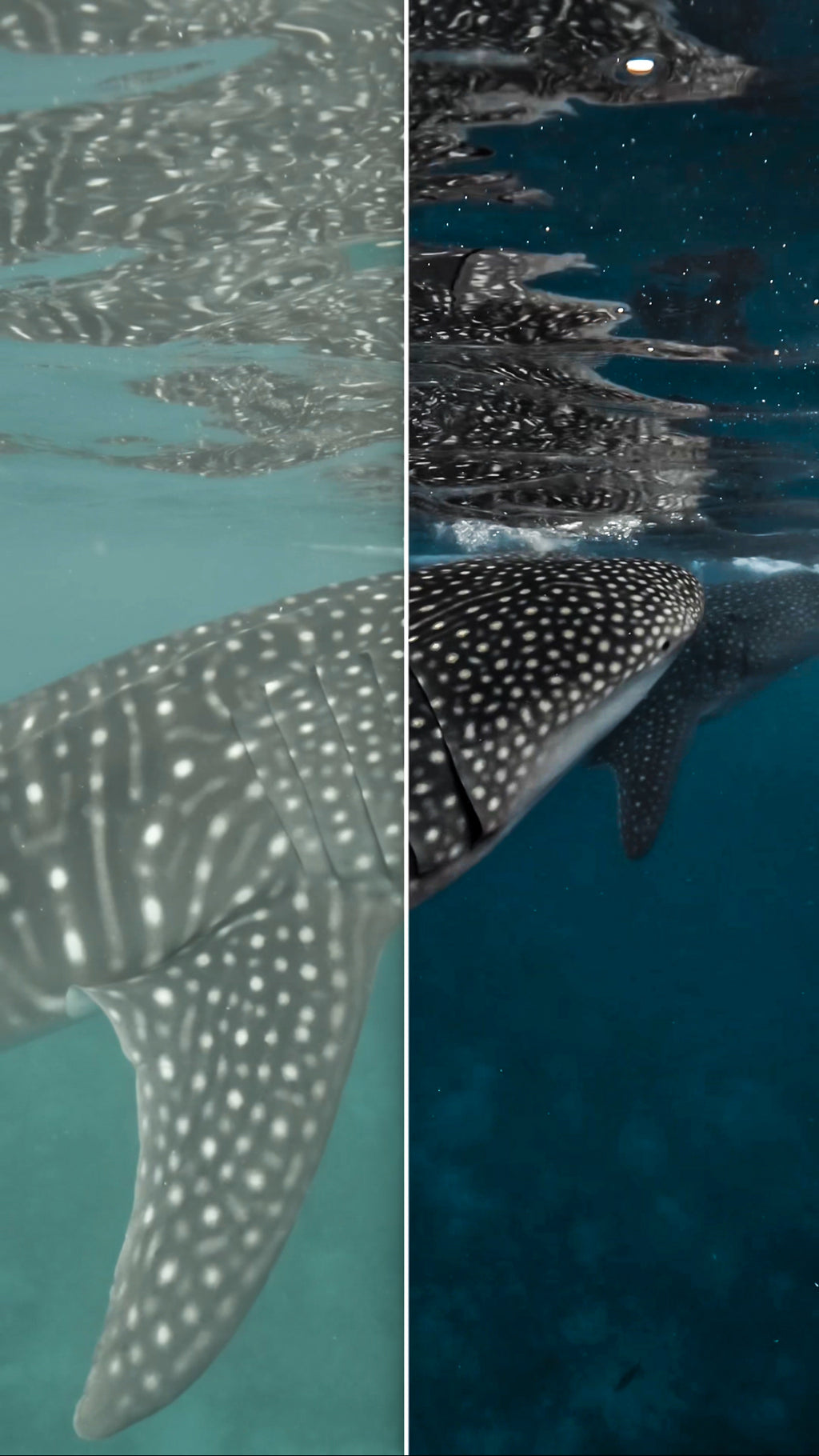 Color Grading Tutorial