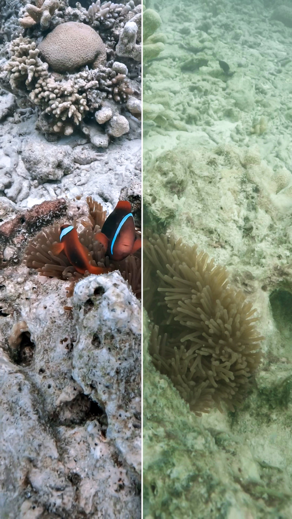 Color Grading Tutorial