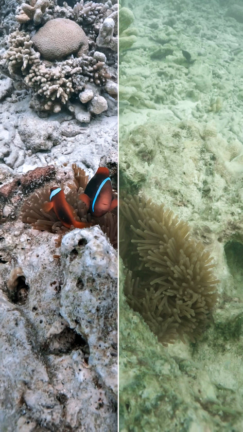 Color Grading Tutorial