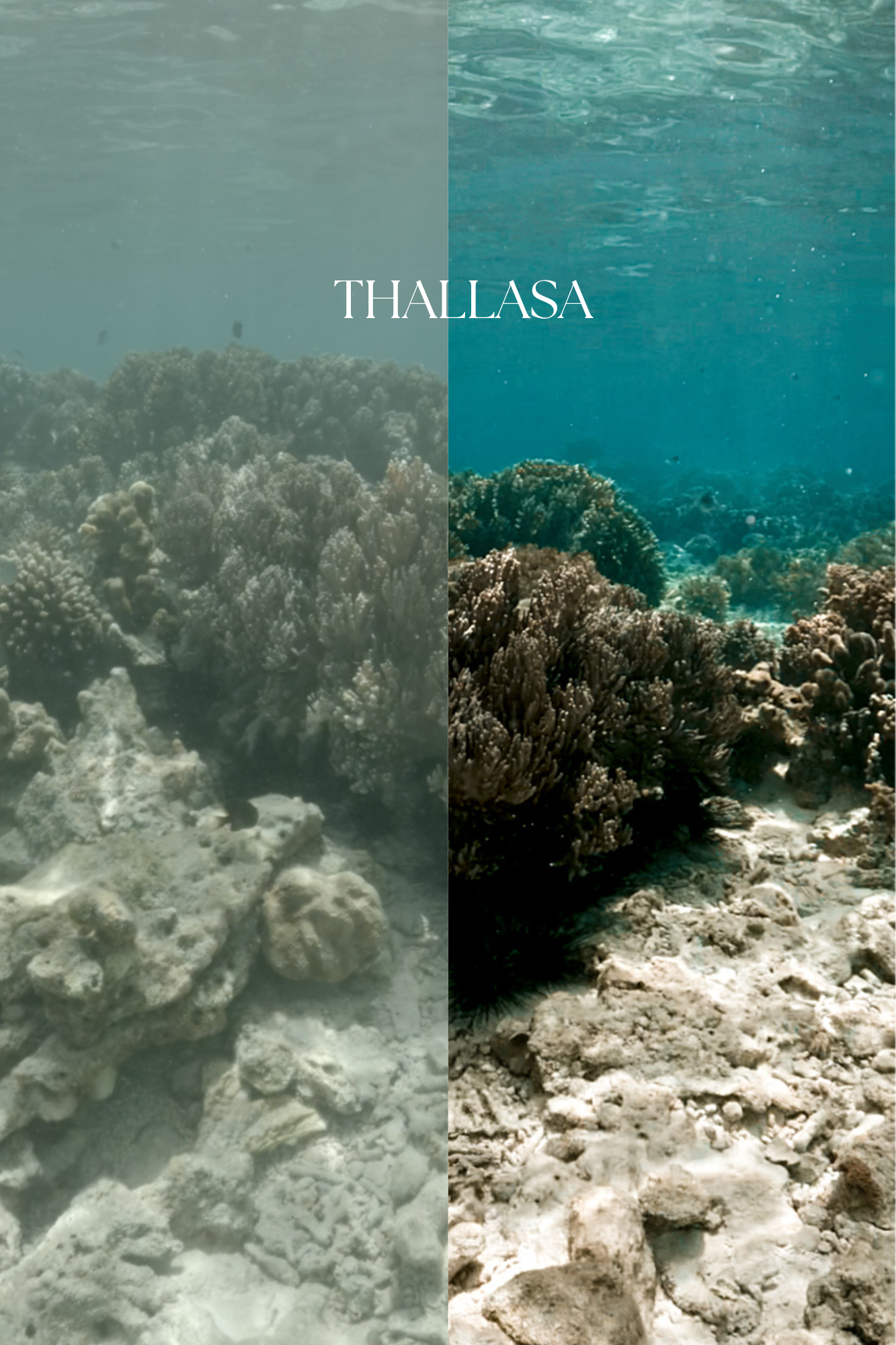 THALLASA